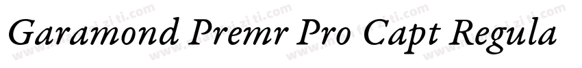 Garamond Premr Pro Capt Regular字体转换